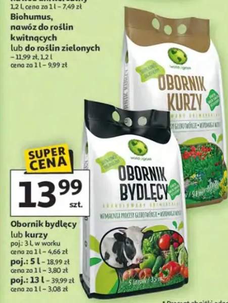 obornik bydlęcy