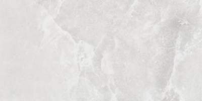 Gres szkliwiony Fino Grey 59.8x119.8 cm Arte