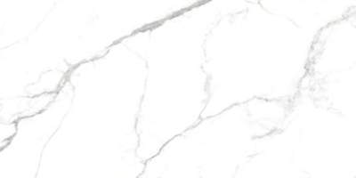 Gres szkliwiony Reno Statuario 60x120 Egen