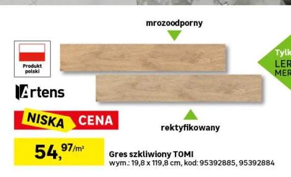 Gres szkliwiony Tomi Beige 19.8x119.8 Artens